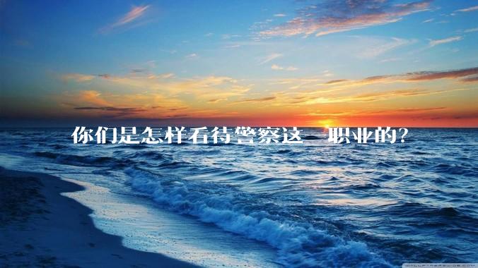 你们是怎样看待警察这一职业的？