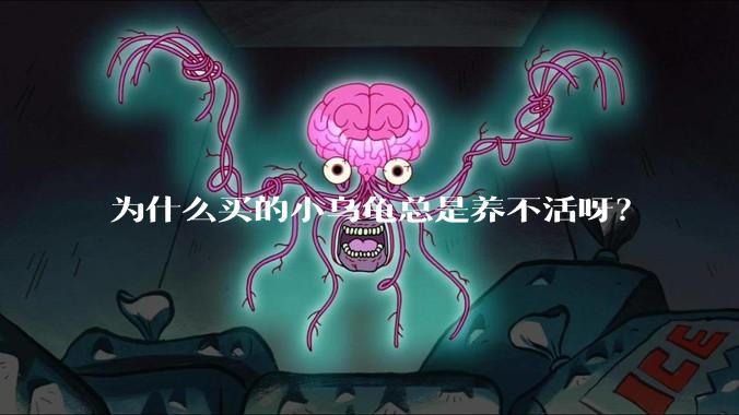 为什么买的小乌龟总是养不活呀？