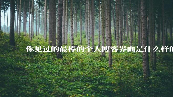 你见过的最棒的个人博客界面是什么样的？