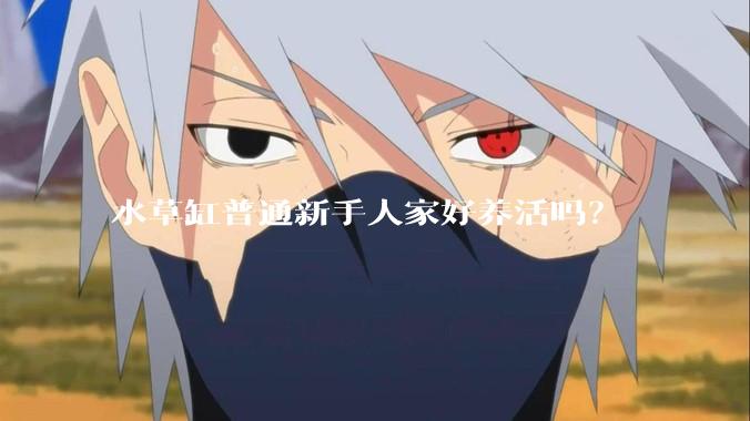 水草缸普通新手人家好养活吗？