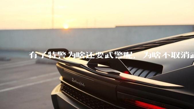 有了特警为啥还要武警呢，为啥不取消武警?