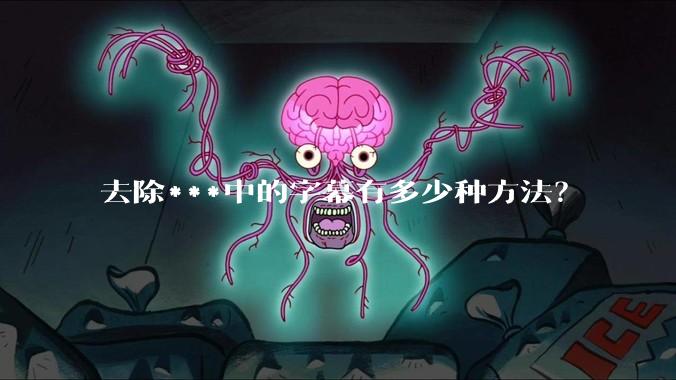 去除***中的字幕有多少种方法？