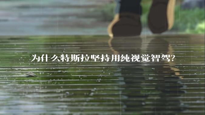 为什么特斯拉坚持用纯视觉智驾？