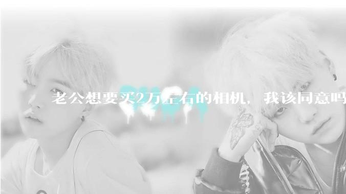 老公想要买2万左右的相机，我该同意吗？