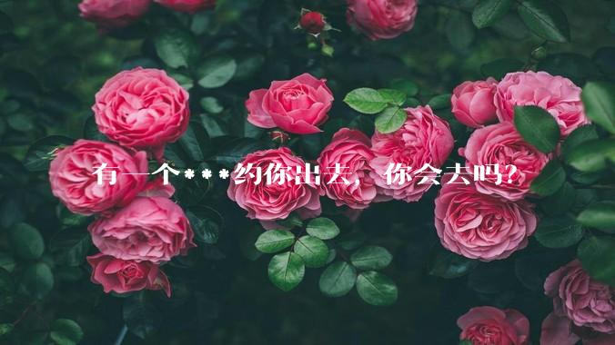 有一个***约你出去，你会去吗？